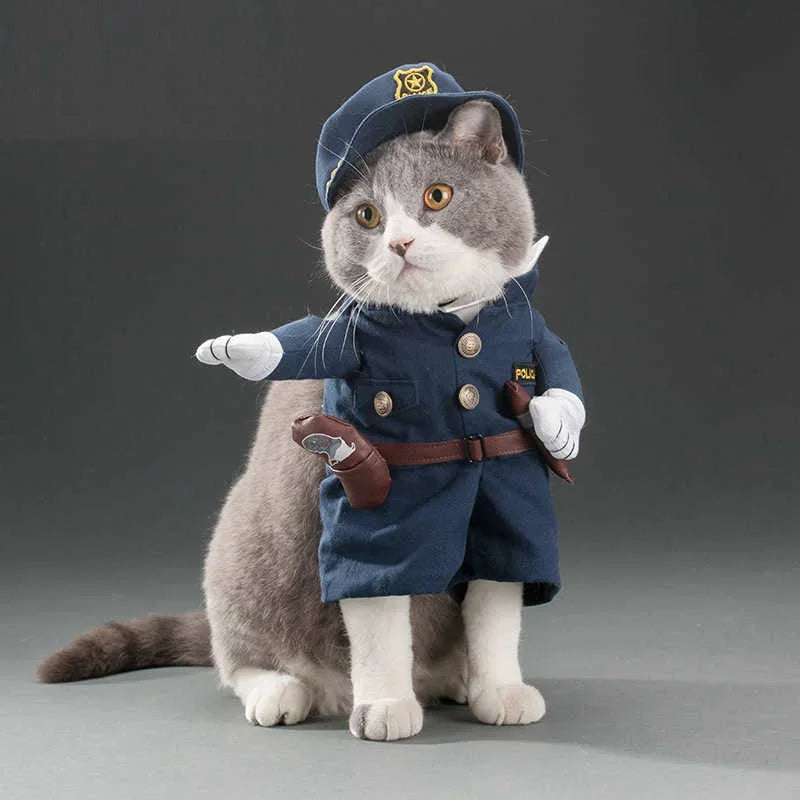 Variety Pet Costumes