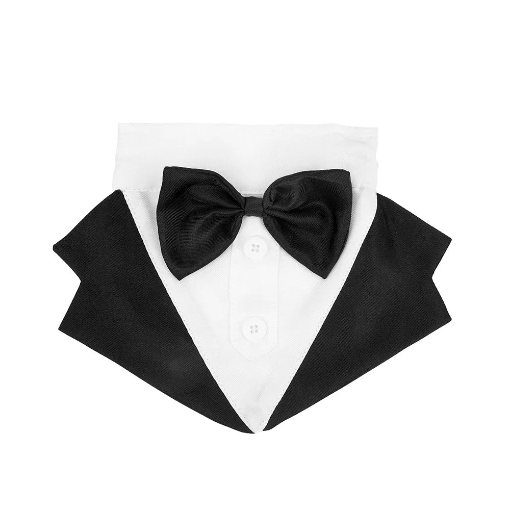 Dog Tuxedo