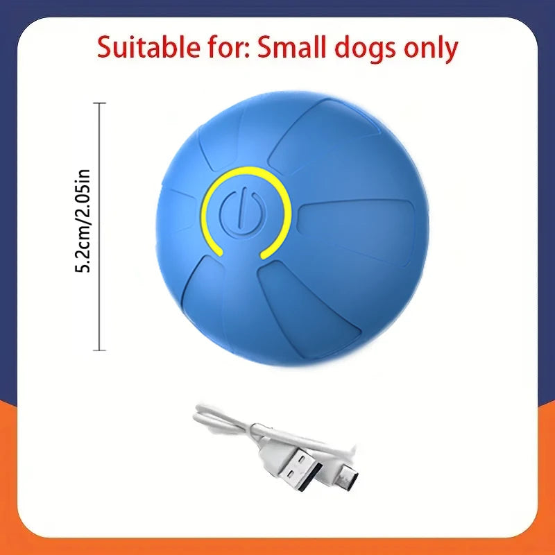 Electronic Interactive Ball