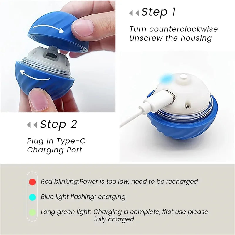 Electronic Interactive Ball