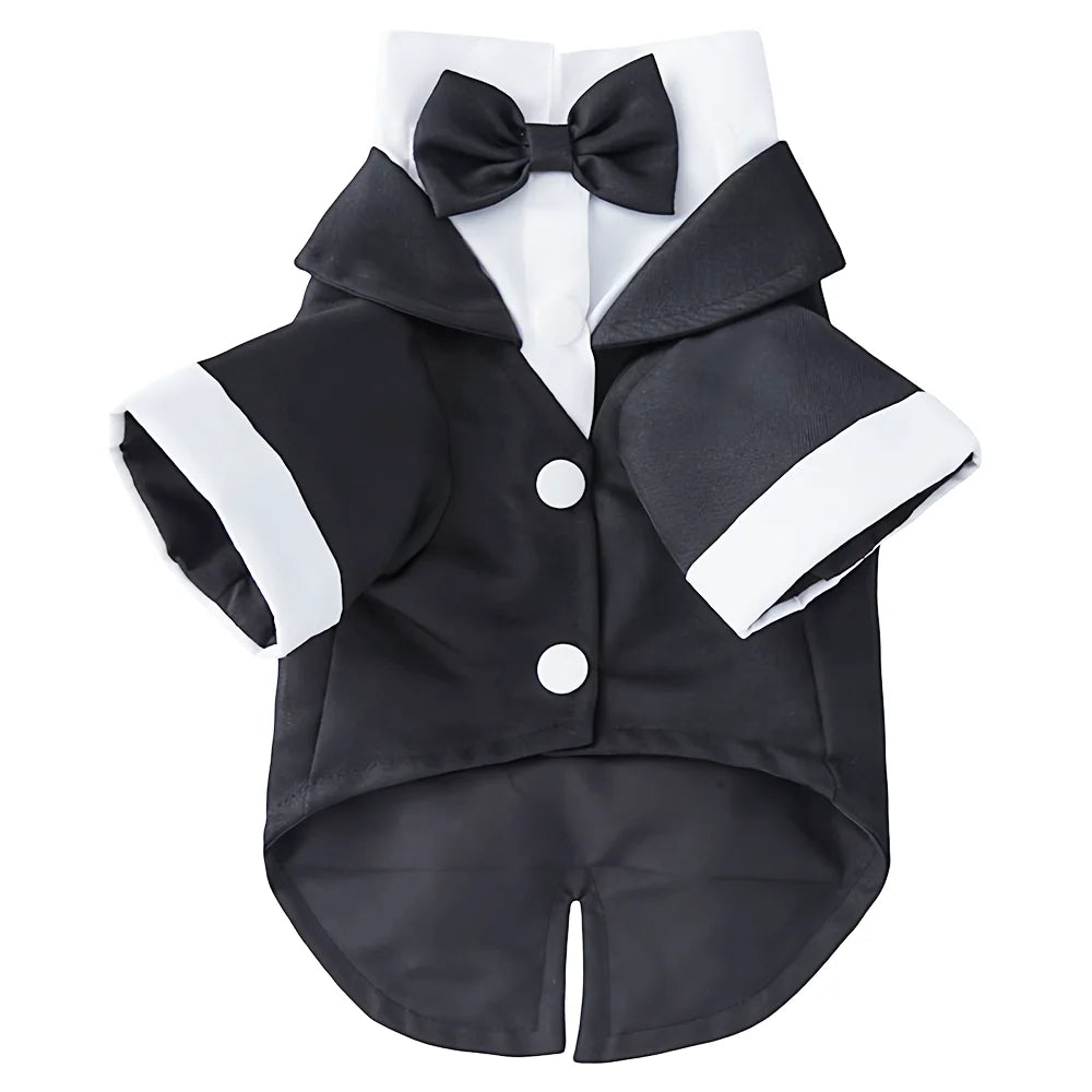 Tuxedo Costume