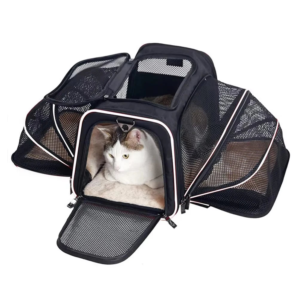 Foldable Pet Carry Bag