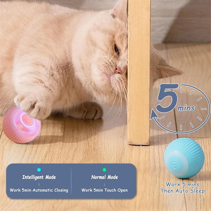 Electronic Interactive Ball