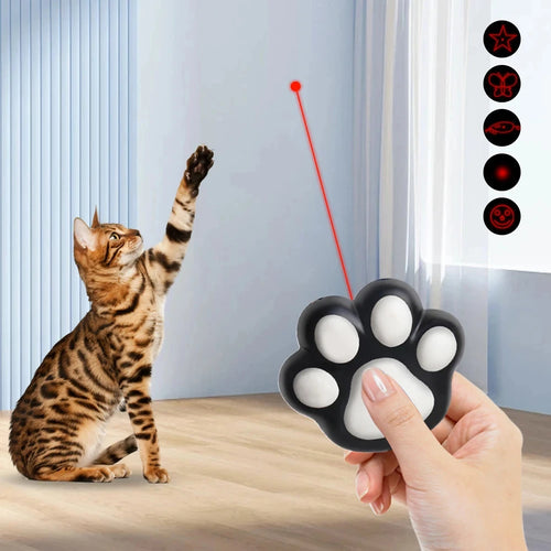 5 Mode Cat Laser Toy
