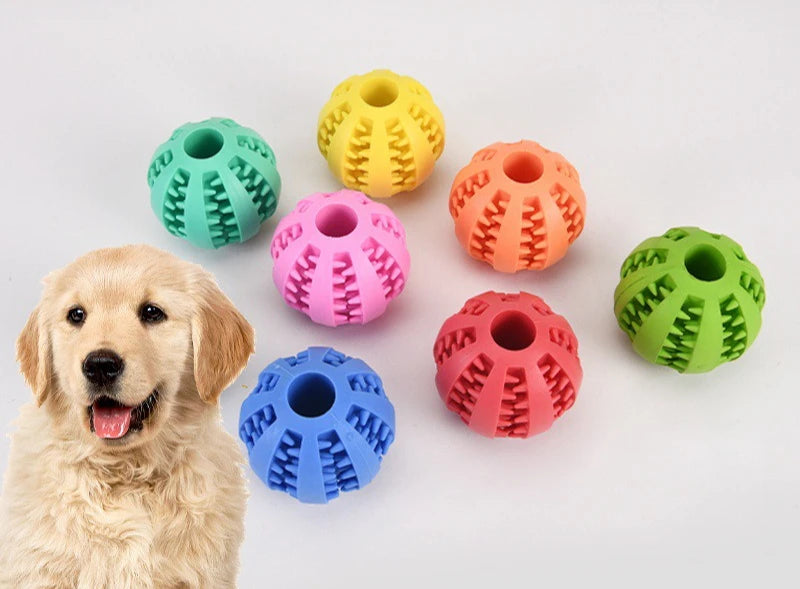 Treat Toy