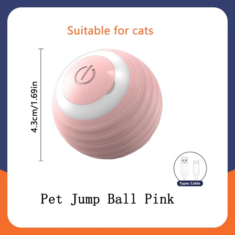 Electronic Interactive Ball