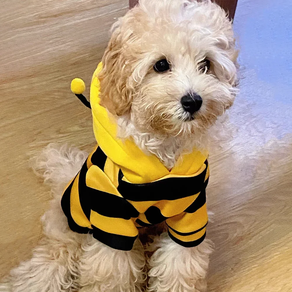 Bee Costume