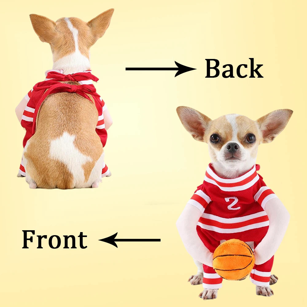 Basketball Costume