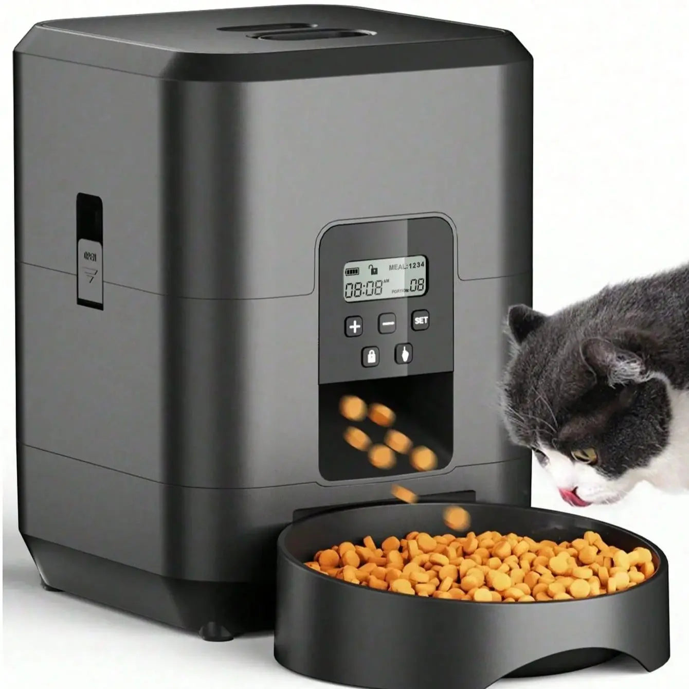 Timed Automatic Food Dispenser