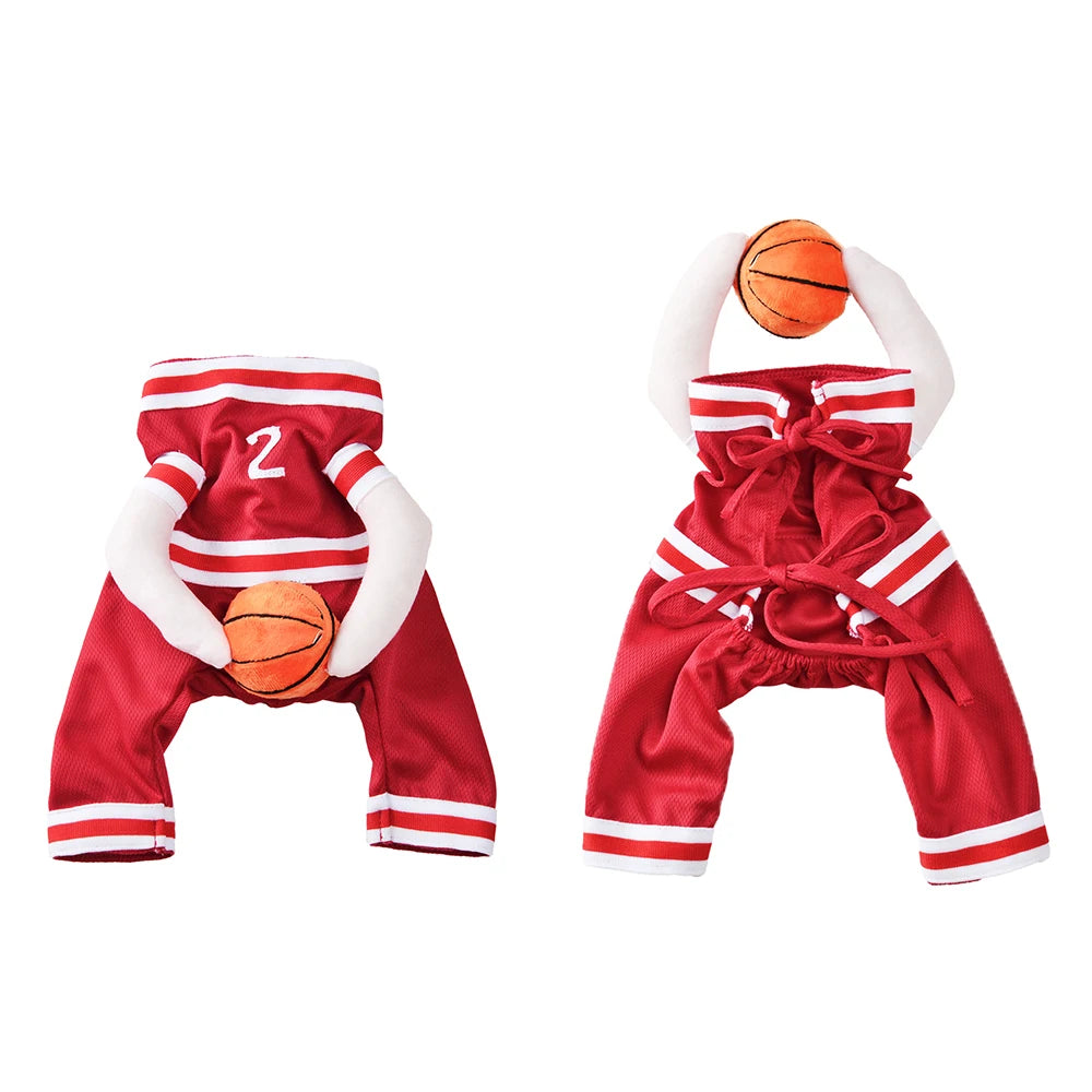 Basketball Costume