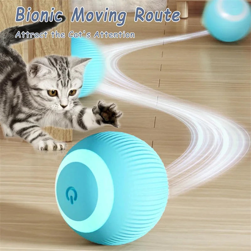 Electronic Interactive Ball