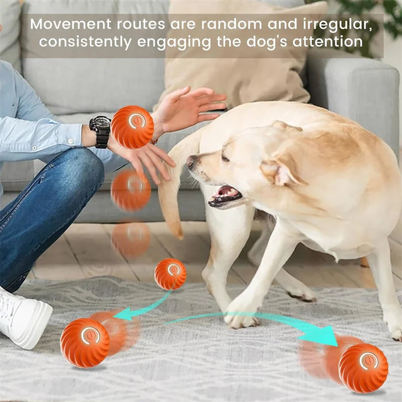 Electronic Interactive Ball