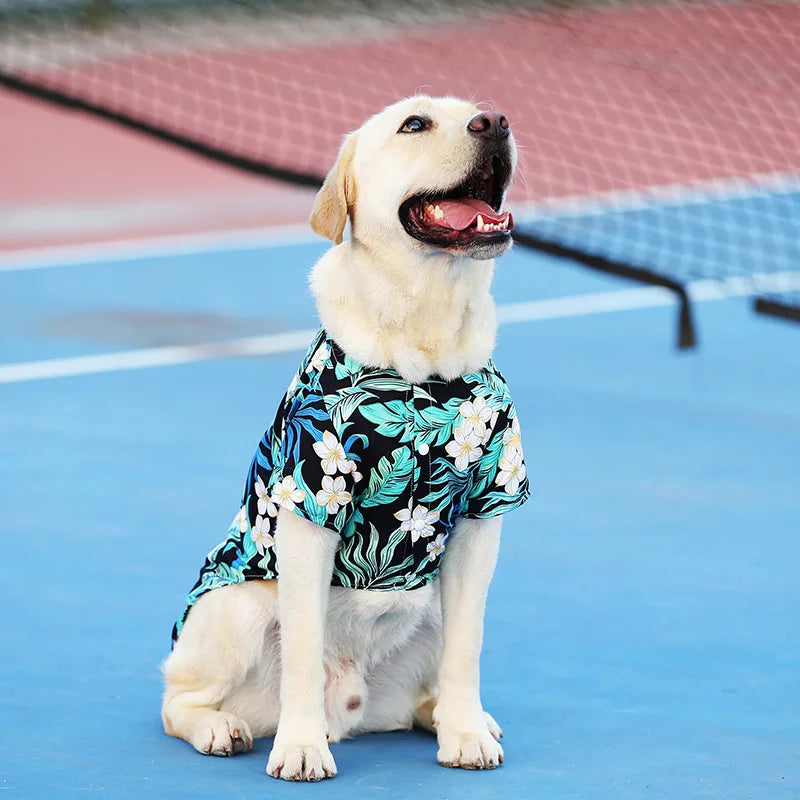 Dog T-shirt