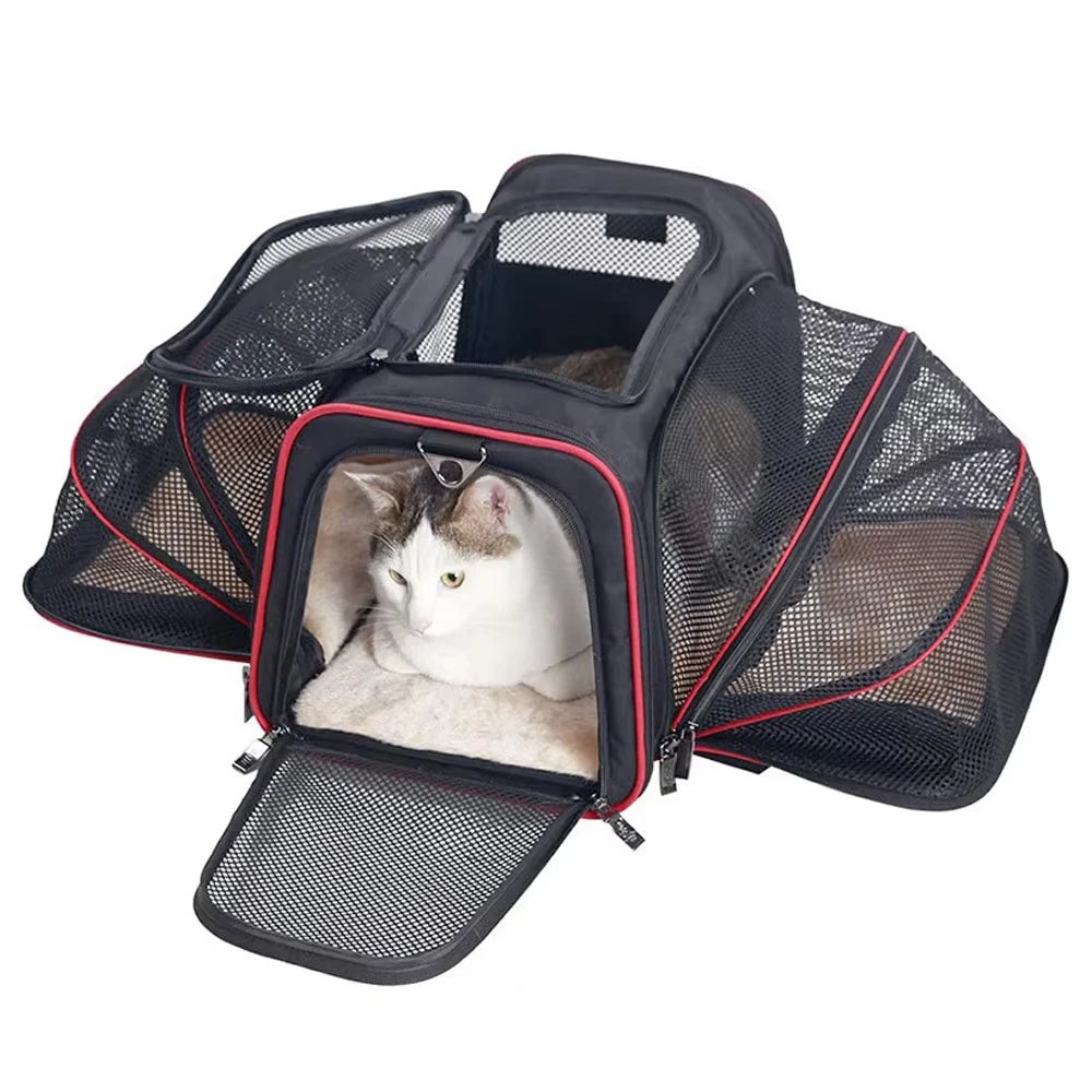 Foldable Pet Carry Bag