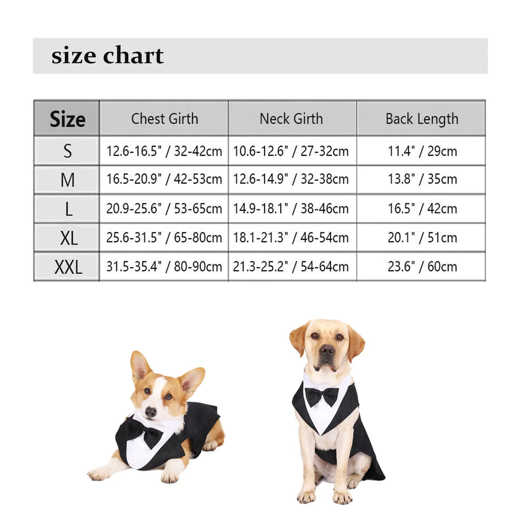 Dog Tuxedo