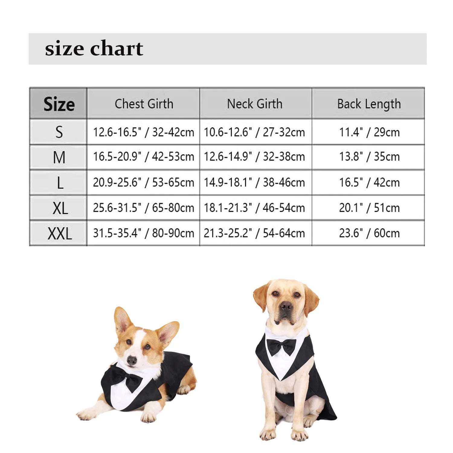 Dog Tuxedo