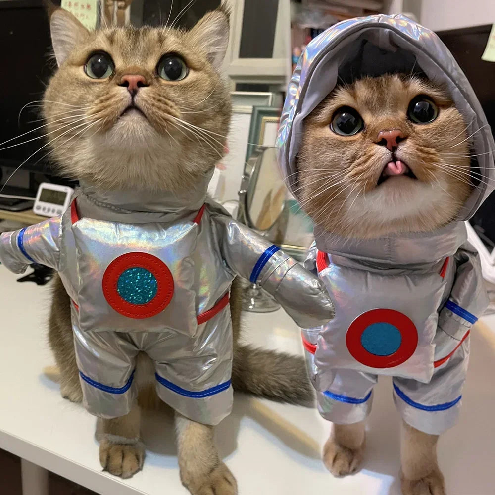 Astronaut Costume