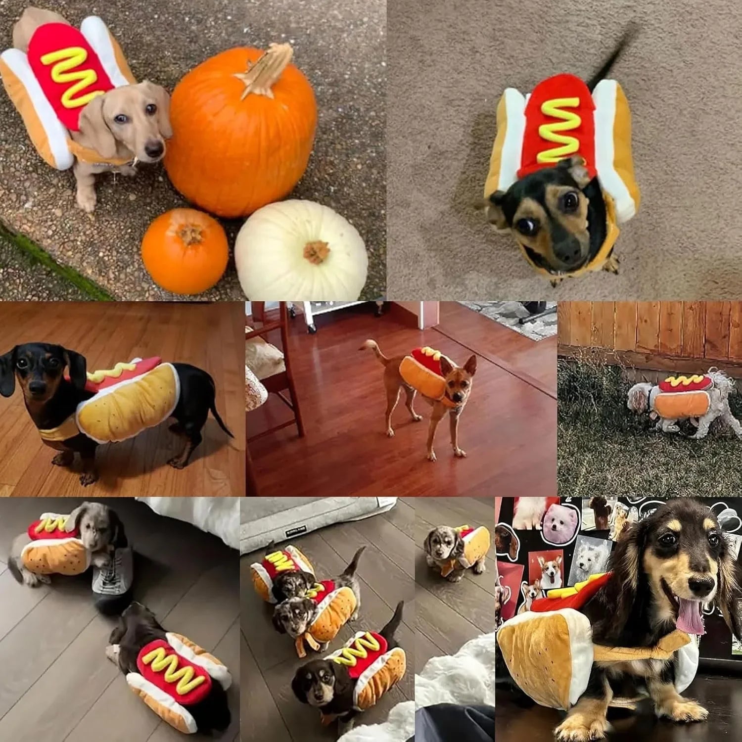 Hotdog Costume