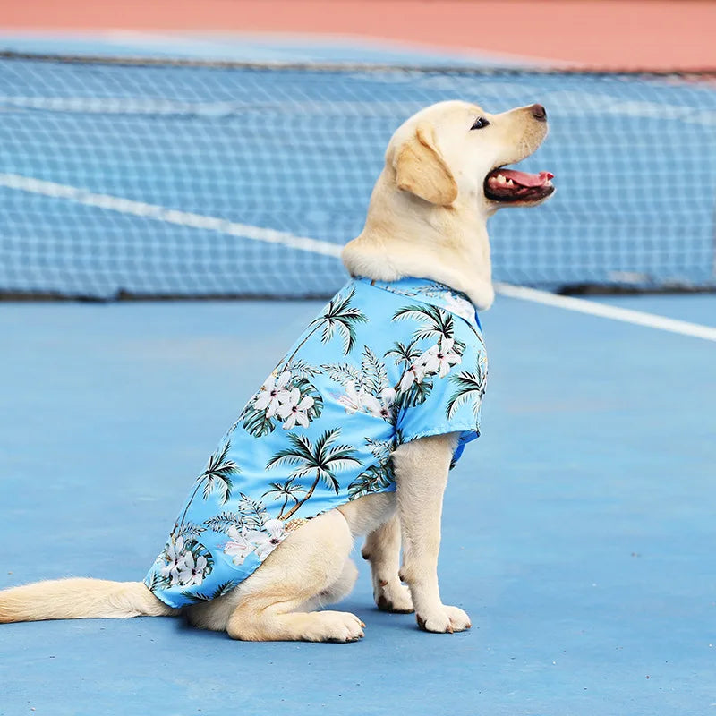 Dog T-shirt